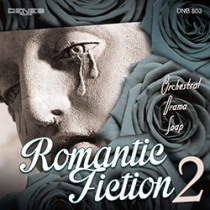 Romantic Fiction 2