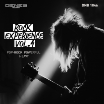 Rock Experience Vol 4