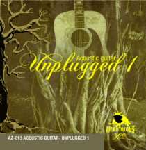 Unplugged 1 - Acoustic Guitar