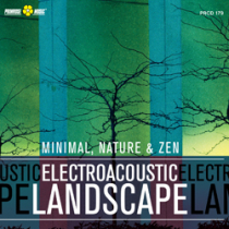 Electroacoustic Landscape