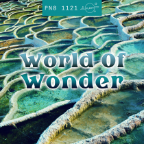 World Of Wonder