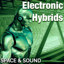 Electronic Hybrids