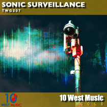 Sonic Surveillance