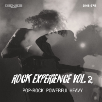 Rock Experience Vol. 2