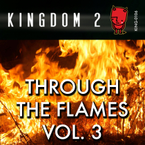 Through the Flames Vol3