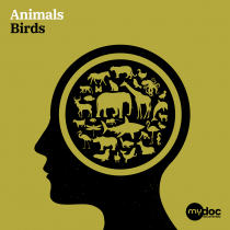 Animals Birds