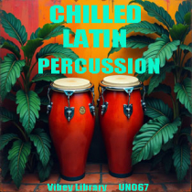 Chilled Latin Percussion Beds