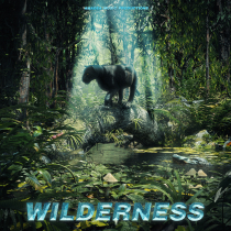 Wilderness, Wonderfully Serene Wildlife Cues