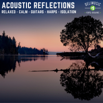 Acoustic Reflections