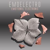 EmoElectro, Emotional Electronic