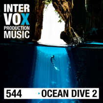 IVOX-544 Ocean Dive 2