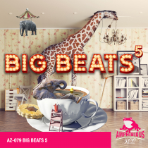 Big Beats 5