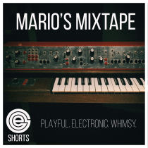 Marios Mix Tape Shorts