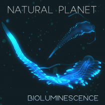 Natural Planet Bioluminescence