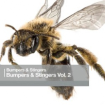 Bumpers and Stingers Vol 2