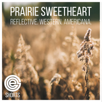 Prairie Sweetheart Shorts