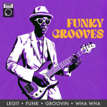 Funky Grooves