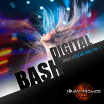 Digital Bash - Electro Vibes 1