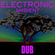 Electronic Ambient Dub