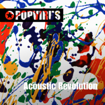 Acoustic Revolution