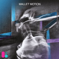 Mallet Motion