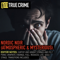 Nordic Noir (Atmospheric & Mysterious)