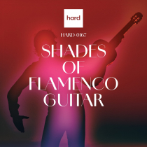 Shades Of Flamenco Guitar