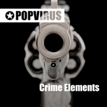 Crime Elements
