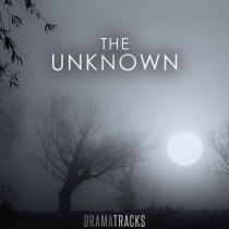 The Unknown