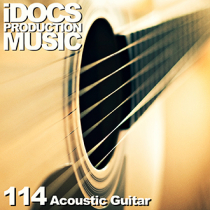 Acoustic Guitar