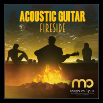 Acoustic Guitar Fireside