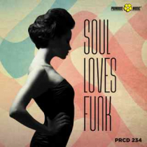 Soul Loves Funk