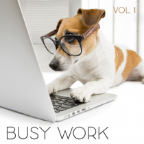 Busy Work Vol 1