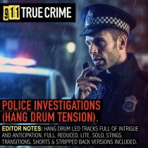 Police Investigations - Hang Drum Tension