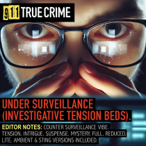 Under Surveillance (Investigative Tension Beds)