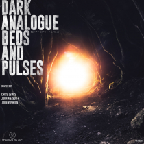 Dark Analogue Beds and Pulses