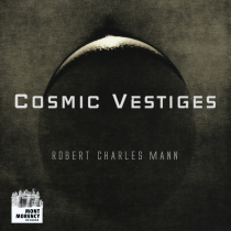 Cosmic Vestiges