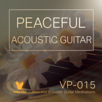 Peaceful Acoustic Guitar Meditations