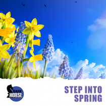 Step Into Spring