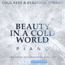 Beauty In A Cold World Solo Piano with Strings Vol5