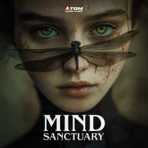 Mind Sanctuary Reflective Moods & Sparse Synthetic Sound Design