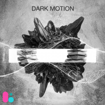 Dark Motion