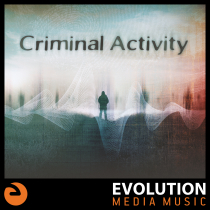 Criminal Activity