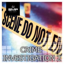 Crime Investigation 2