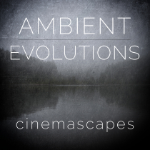 Ambient Evolutions