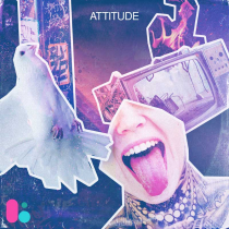 Attitude