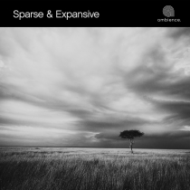 Sparse and Expansive
