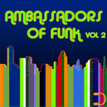 Ambassadors Of Funk Vol 2