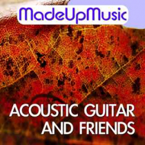 Acoustic Guitar And Friends