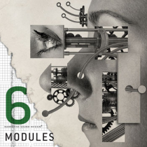 Modules 6